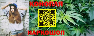 сатива Абинск