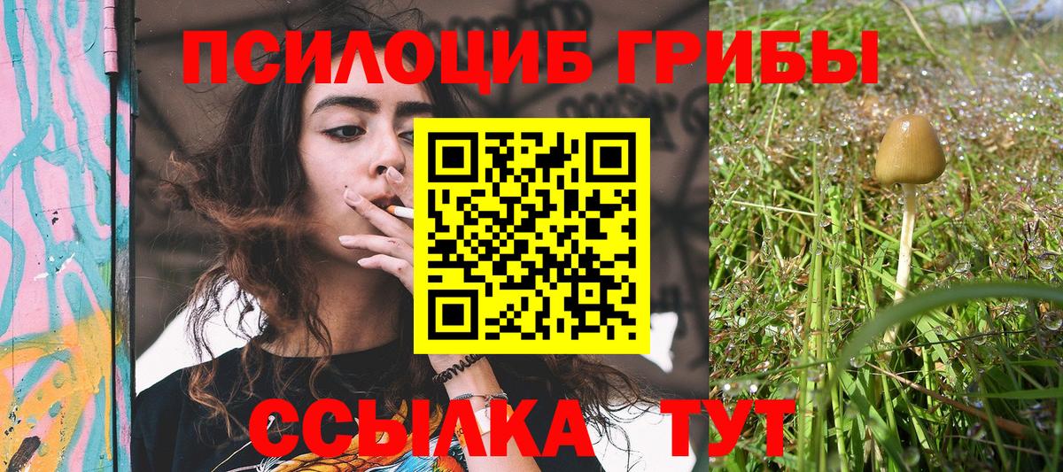 Кокаин  Александров  Вход с VPN  Бошки Шишки  Меф кристаллы  Гашиш  Меф МЯУ МЯУ  Alpha PVP СОЛЬ кристаллы 
